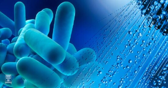 legionella_1.jpg legionella_1.jpg