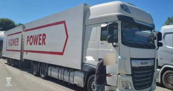 BIGtruck Poolse DAF Flower Power