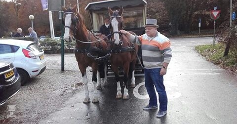 paardentram.jpg paardentram.jpg