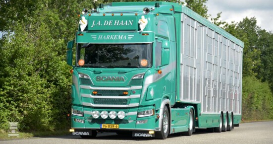 De Haan (6)-1400