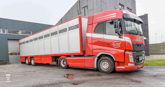 schaap2-1400.jpg schaap2-1400.jpg