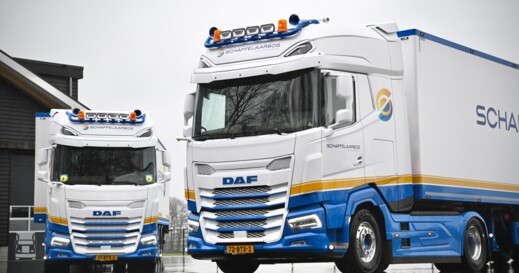 Schaffelaarbos4 Schaffelaarbos4