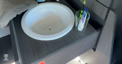 ford_fmax_living_driver_single_cab_11 ford_fmax_living_driver_single_cab_11