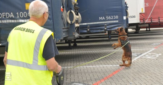 snifferdogs_LR_1.jpg
