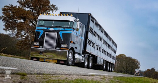 Berdex trailers (1)