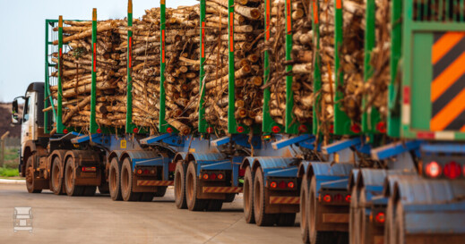 baixa_5.jpg baixa_5.jpg