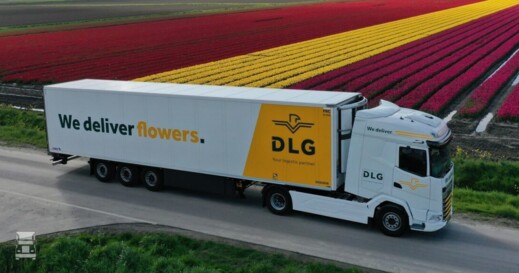 dlg-flowers-1536x576 dlg-flowers-1536x576
