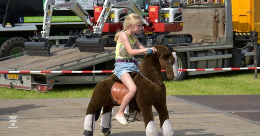 TruckfestivalBurdaard (12)