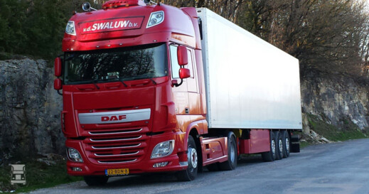 Swaluw.jpg Swaluw.jpg