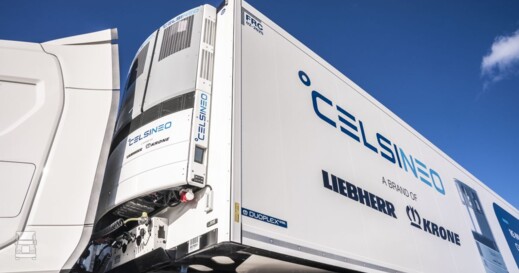 Celsineo_3LR.jpg Celsineo_3LR.jpg