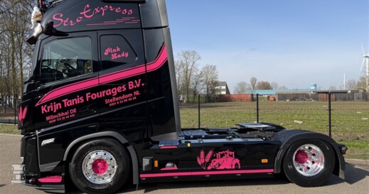 BIGtruck Krijn Tanis Pink Lady 3 (960 x 720)