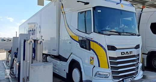 DAF Wieldoppen DAF Wieldoppen