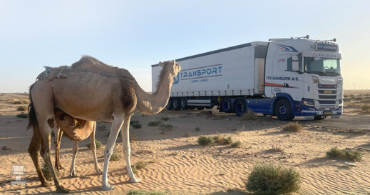 DKJ Transport Mauretani&euml; (5)