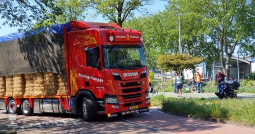 Robin4.jpg Robin4.jpg