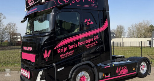 BIGtruck Krijn Tanis Pink Lady 4 (960 x 1280) BIGtruck Krijn Tanis Pink Lady 4 (960 x 1280)