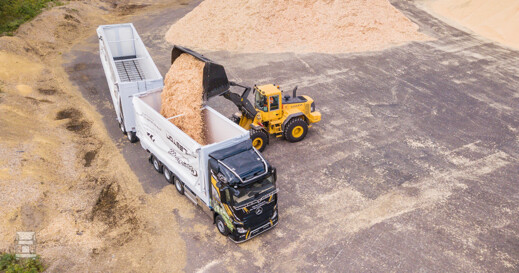 sammalisto3.jpg sammalisto3.jpg