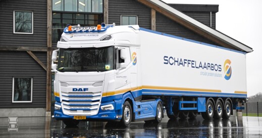 Schaffelaarbos3 Schaffelaarbos3