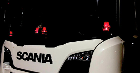 Poppy's achter de ruit