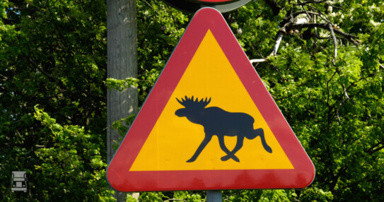 Zweden1.jpg Zweden1.jpg