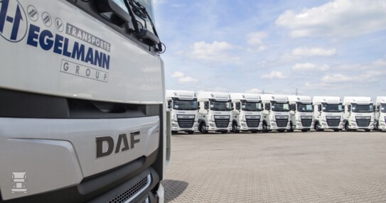 HegelmannLR.jpg HegelmannLR.jpg