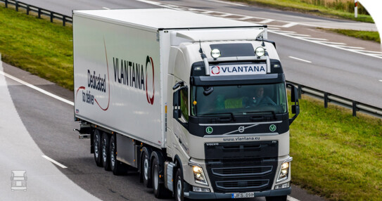 vlantana.jpg vlantana.jpg