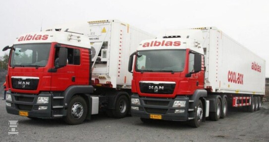 alblas_chiny_2013 (1)