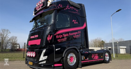 BIGtruck Krijn Tanis Pink Lady 1 (960 x 720)